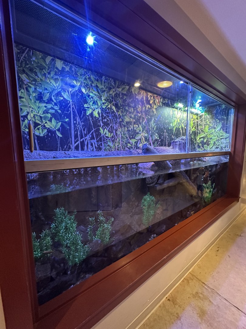 Sep. 2025 - Expedition Africa - Dwarf Croc Enclosure