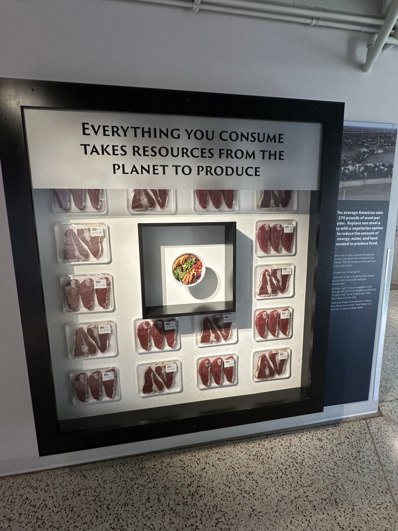 Sep. 2025 - Expedition Africa - Educational Display