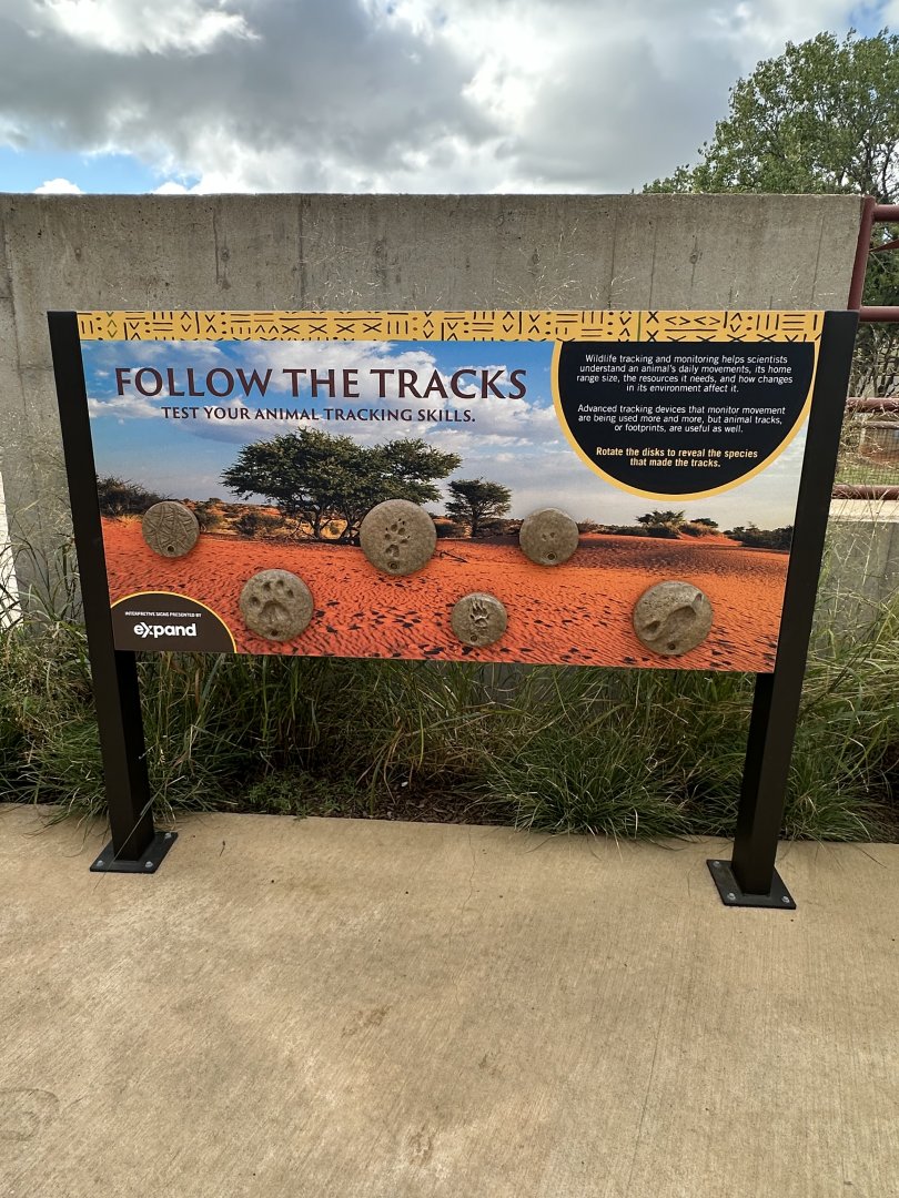 Sep. 2025 - Expedition Africa - Graphics