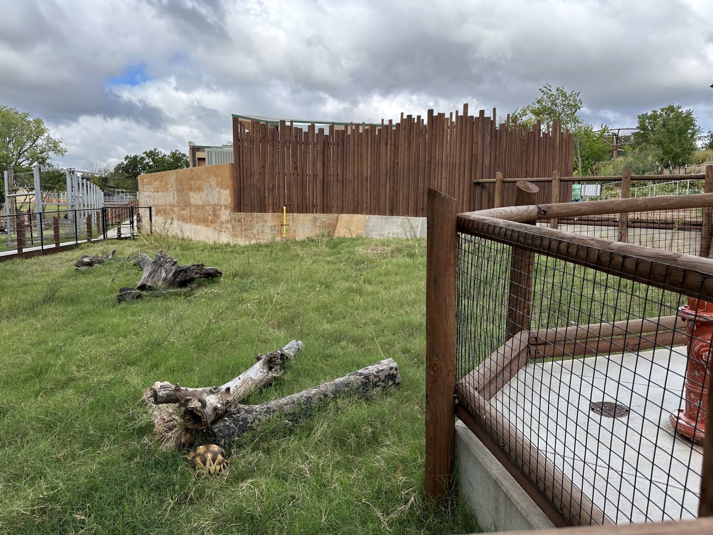 Sep. 2025 - Expedition Africa - Ploughshare Tortoise Enclosure