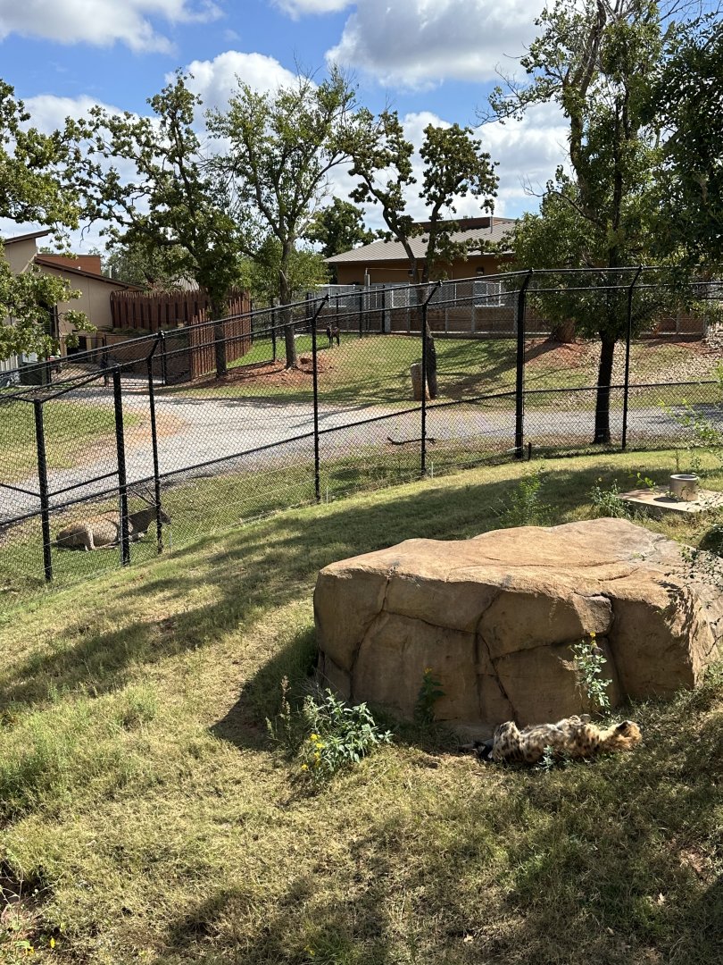 Sep. 2025 - Expedition Africa - Predator & Prey Display