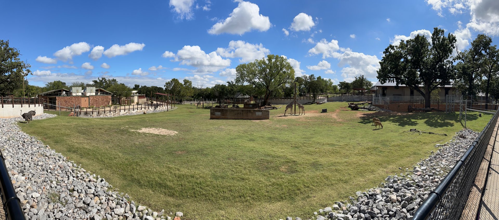 Sep. 2025 - Expedition Africa - Savanna Panorama