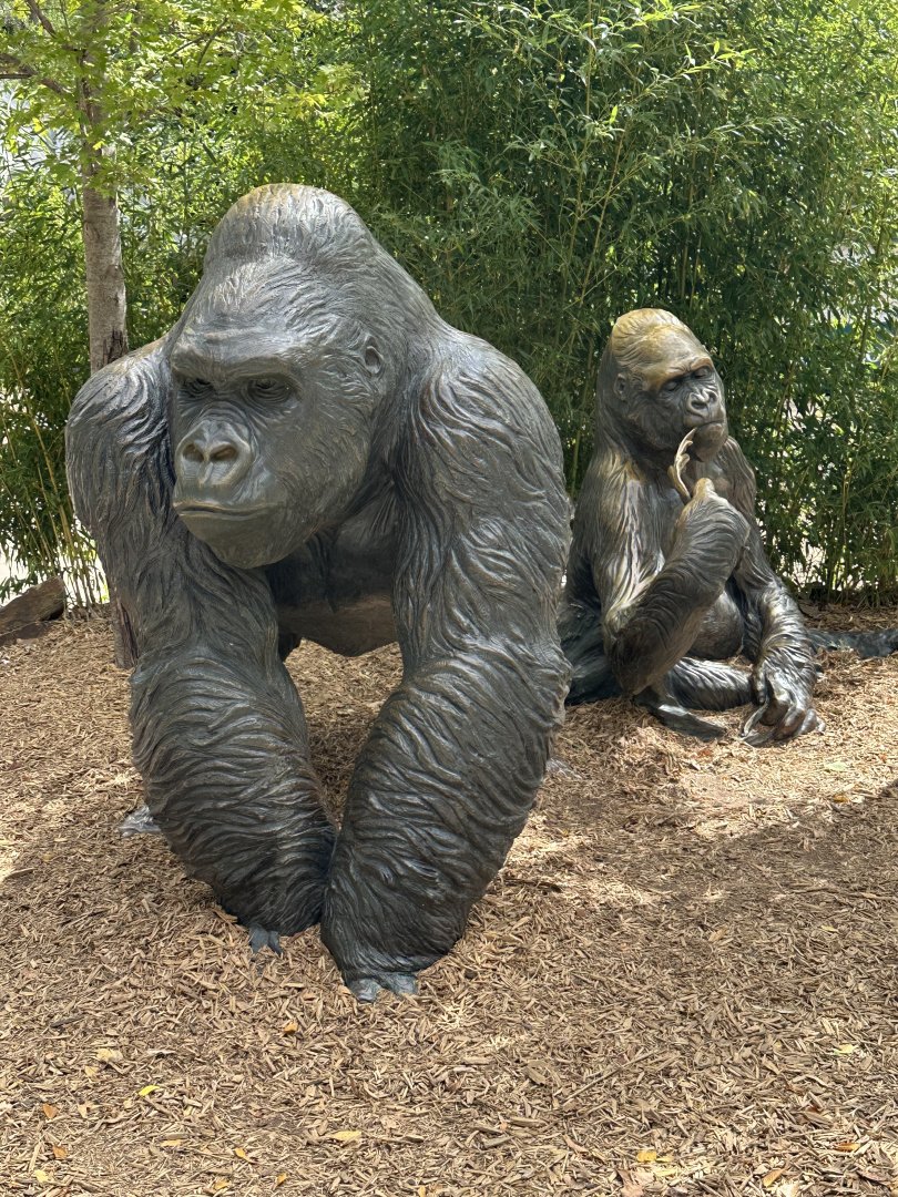 Sep. 2025 - Great EscApe - Gorilla Statues