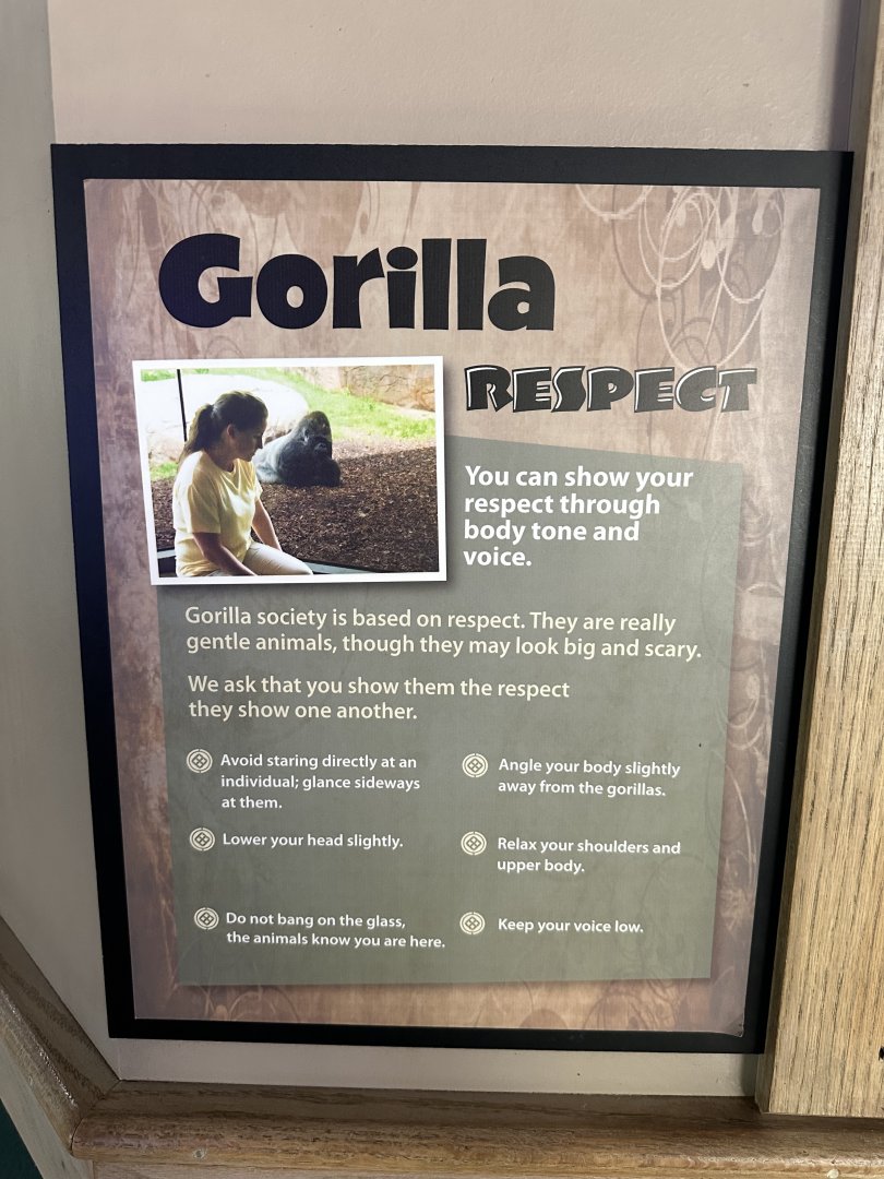 Sep. 2025 - Great EscApe - Signage (1)