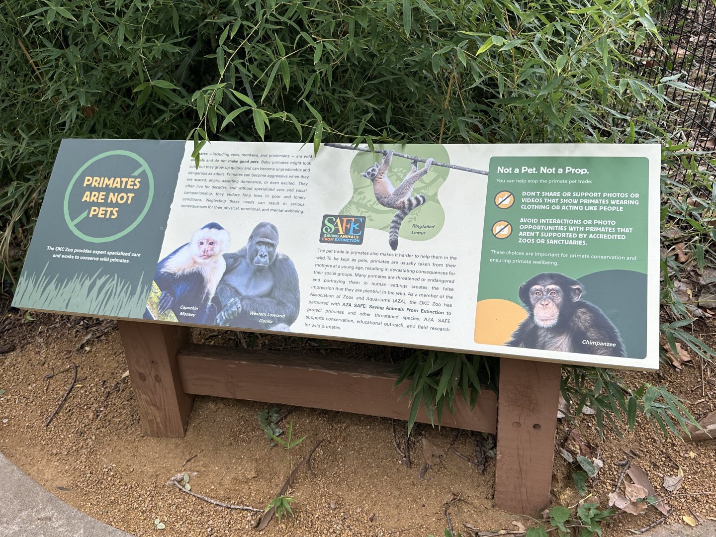 Sep. 2025 - Great EscApe - Signage (2)