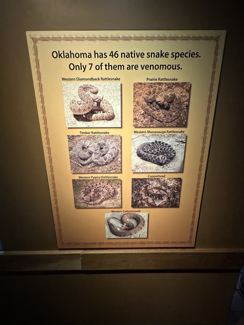 Sep. 2025 - Herpetarium - Venomous Snake Signage