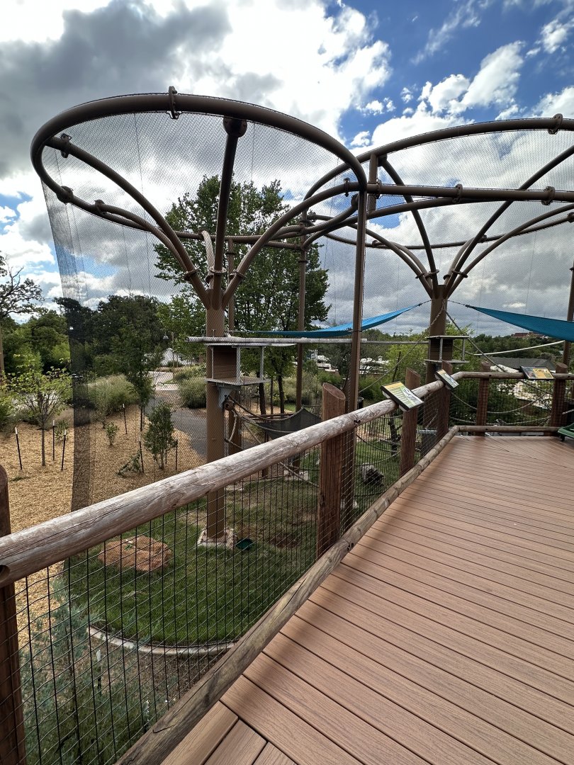 Sep. 2025 - Lemur Mixed Exhibit