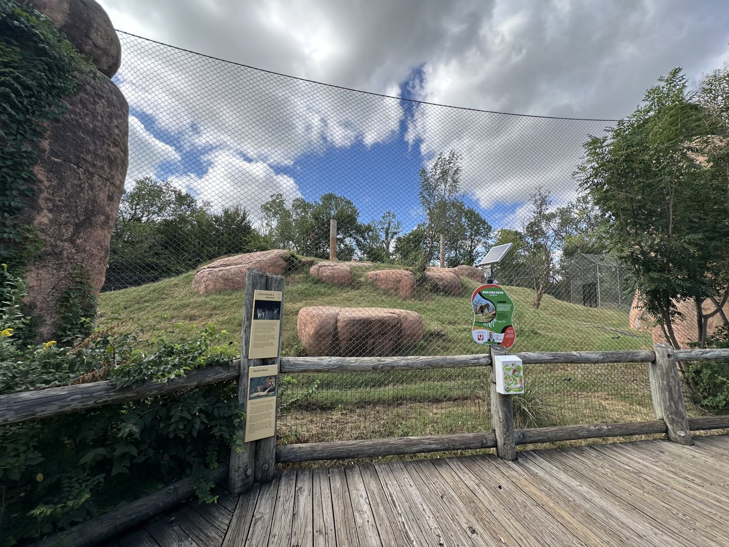 Sep. 2025 - Lion Overlook - Lion Enclosure
