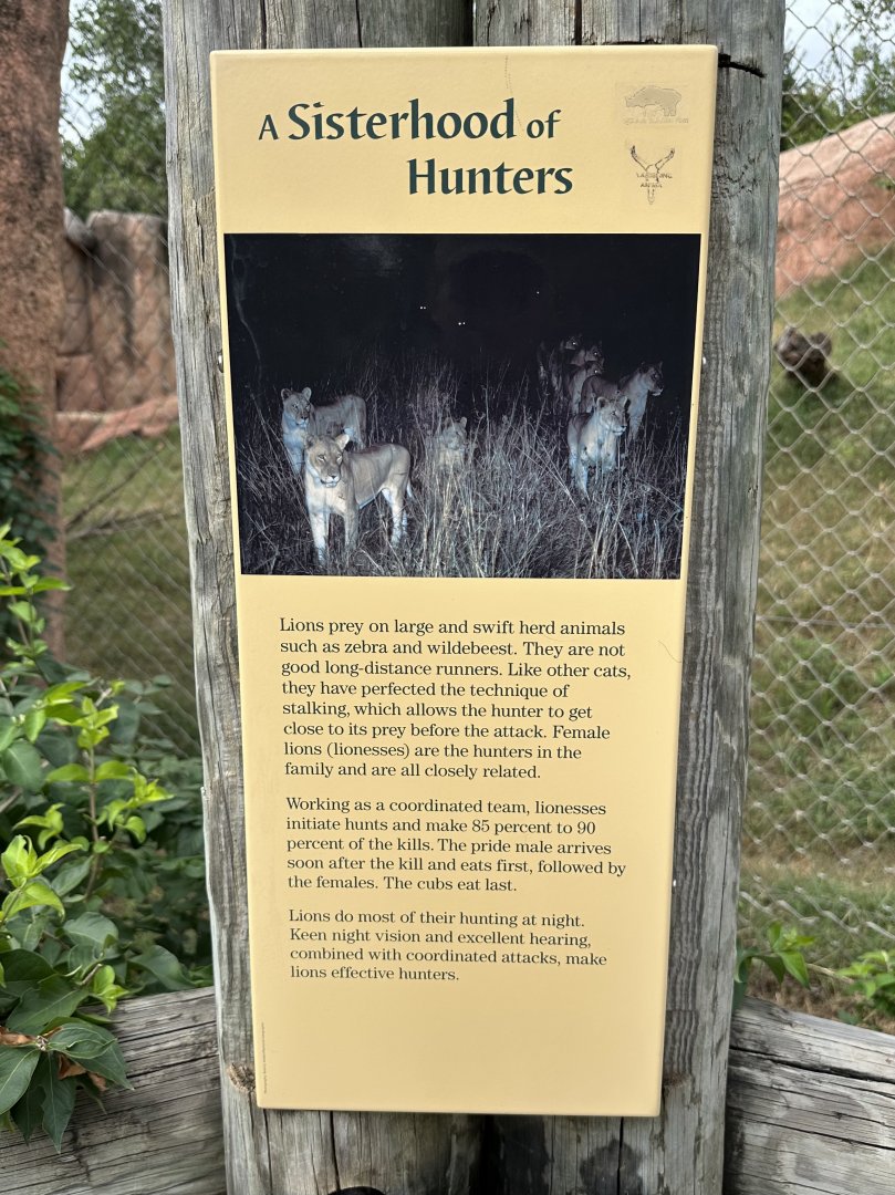 Sep. 2025 - Lion Overlook - Signage