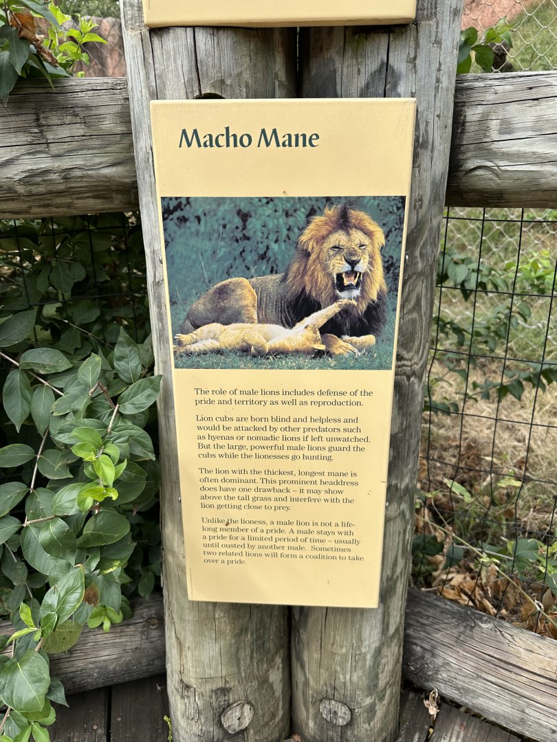 Sep. 2025 - Lion Overlook - Signage