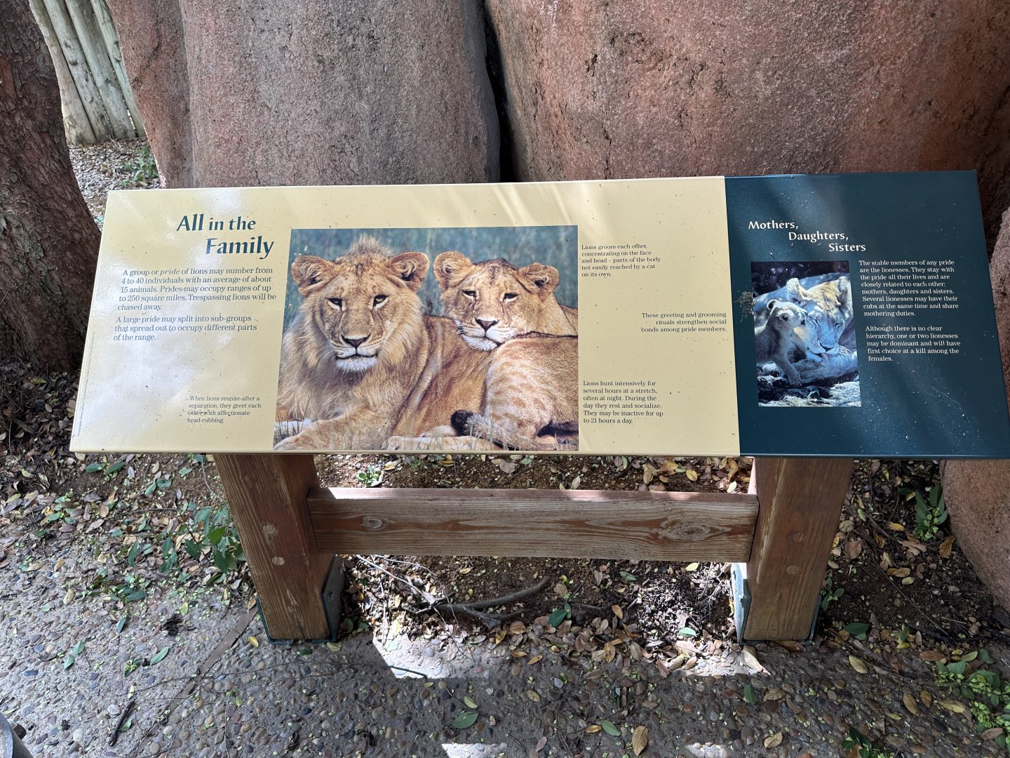 Sep. 2025 - Lion Overlook - Signage