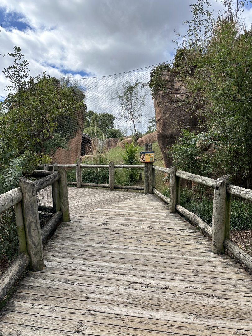 Sep. 2025 - Lion Overlook - Walkway to the Lions