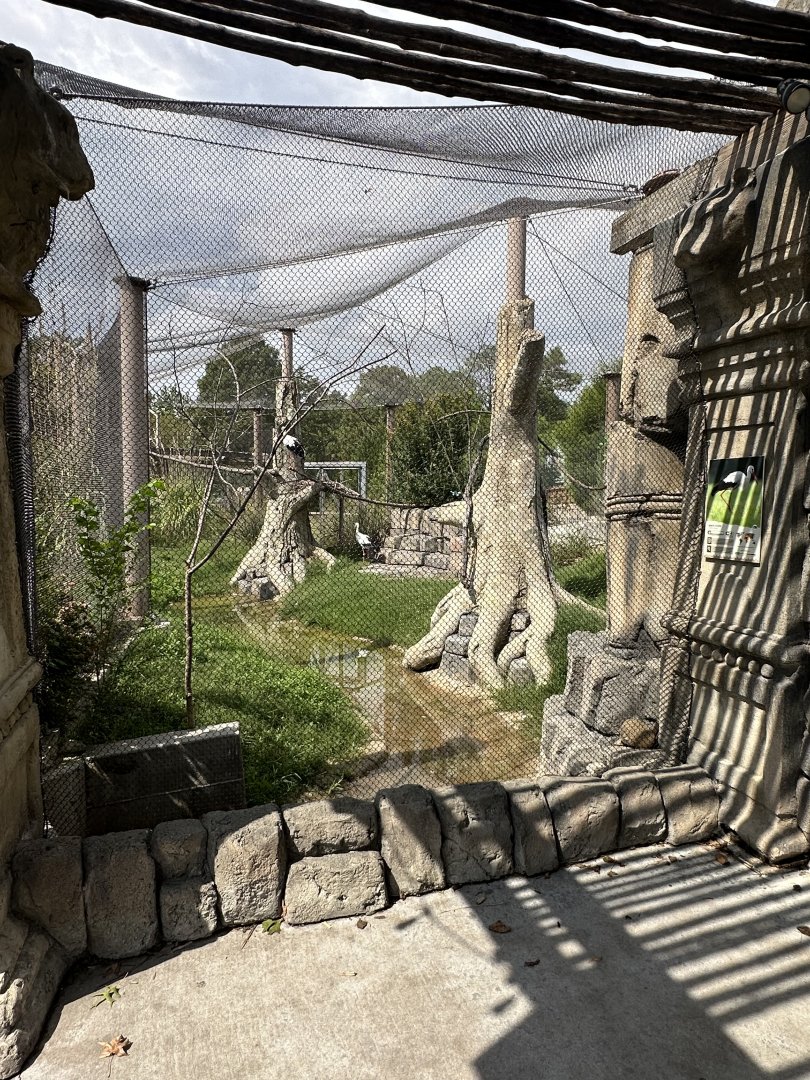 Sep. 2025 - Lost Kingdom - Mixed Aviary