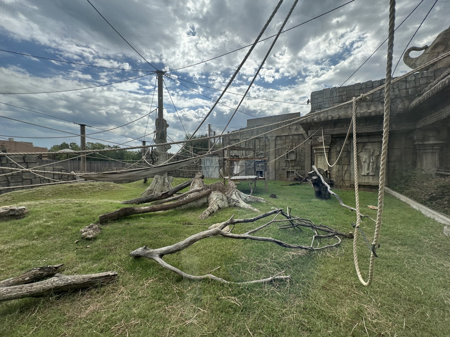 Sep. 2025 - Lost Kingdom - Mixed Enclosure