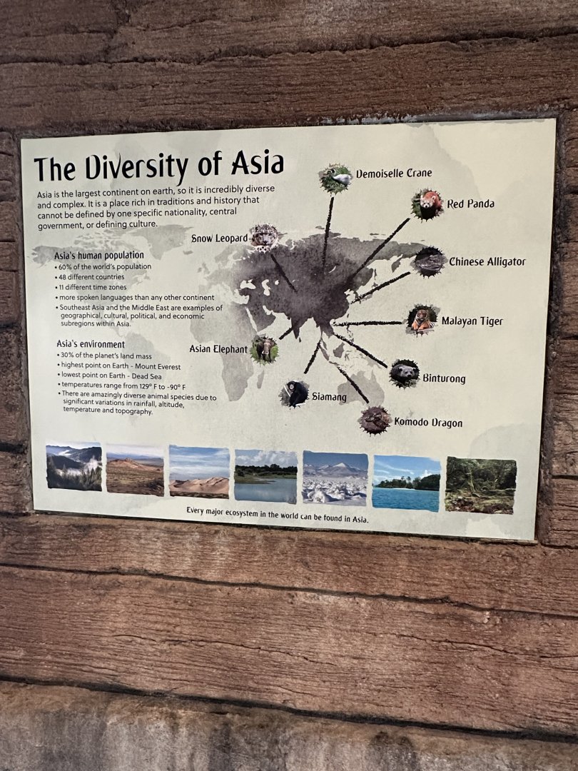 Sep. 2025 - Lost Kingdom - Signage (1)