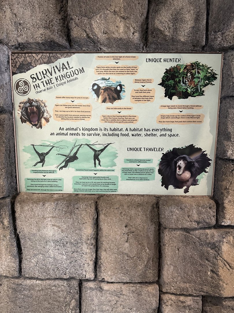 Sep. 2025 - Lost Kingdom - Signage (2)