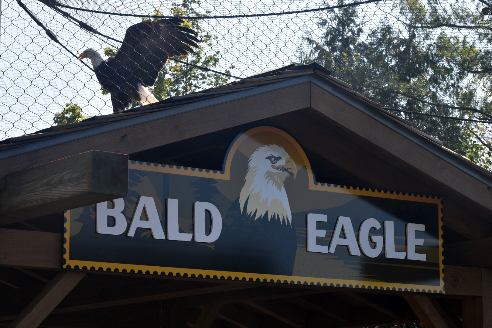 Sep. 2025 - NEW! - North America Trek - Bald Eagle Exhibit