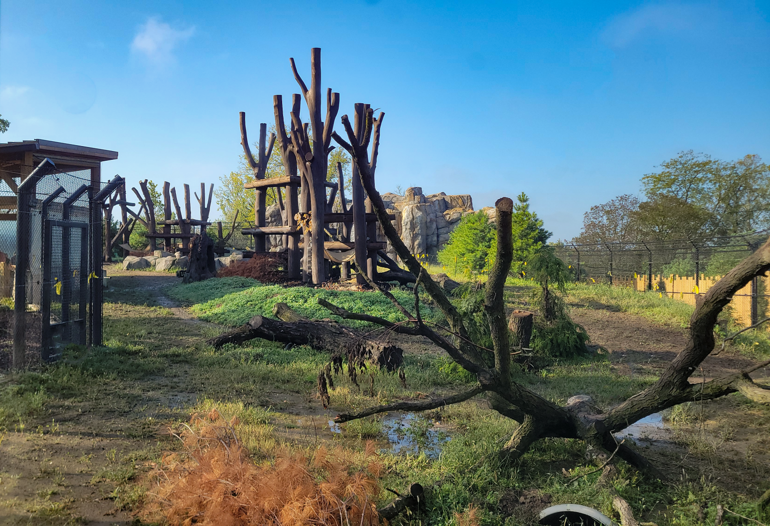 Sep. 2025 - NEW! - North America Trek - Black Bear Exhibit