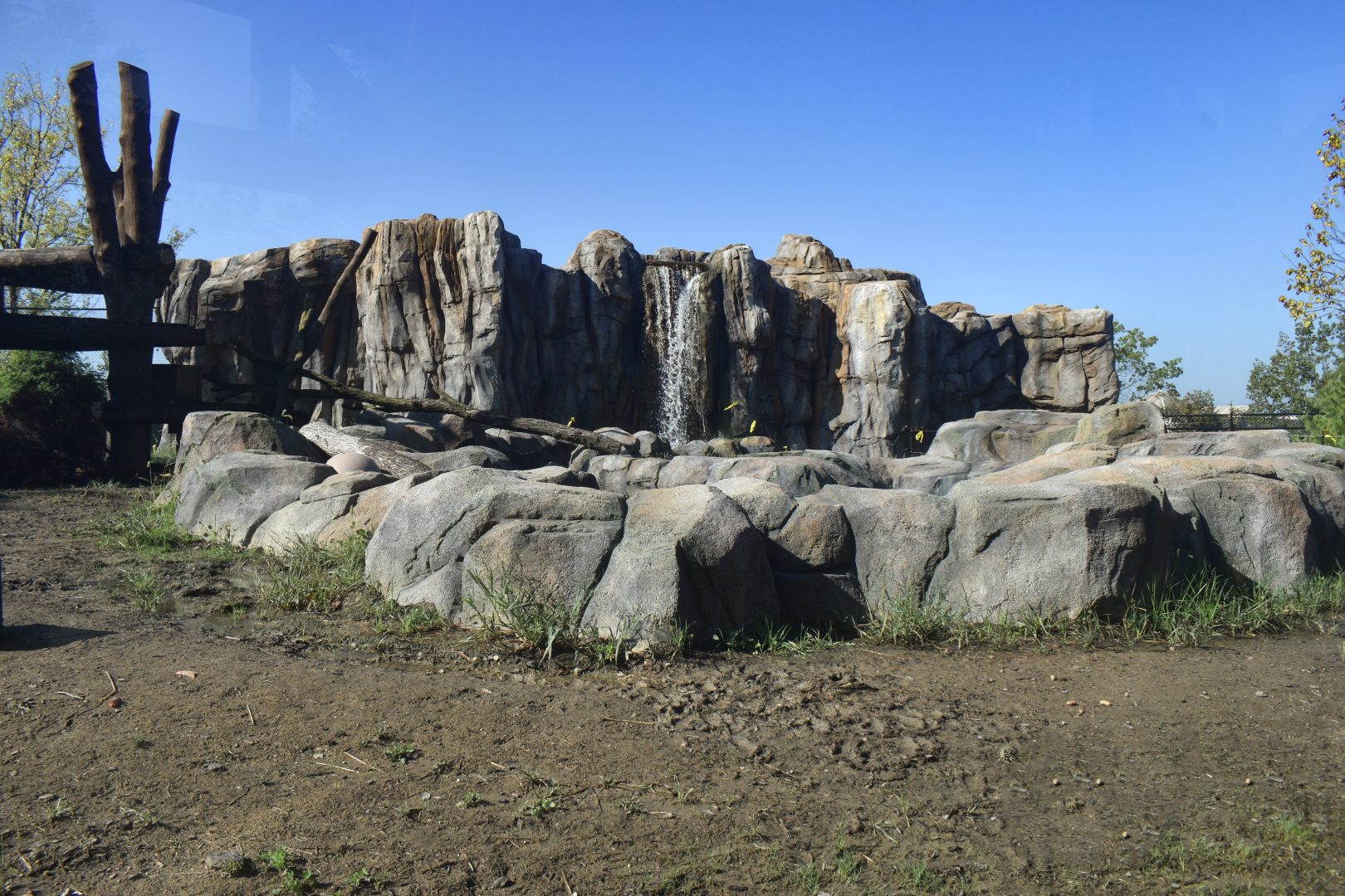 Sep. 2025 - NEW! - North America Trek - Black Bear Exhibit