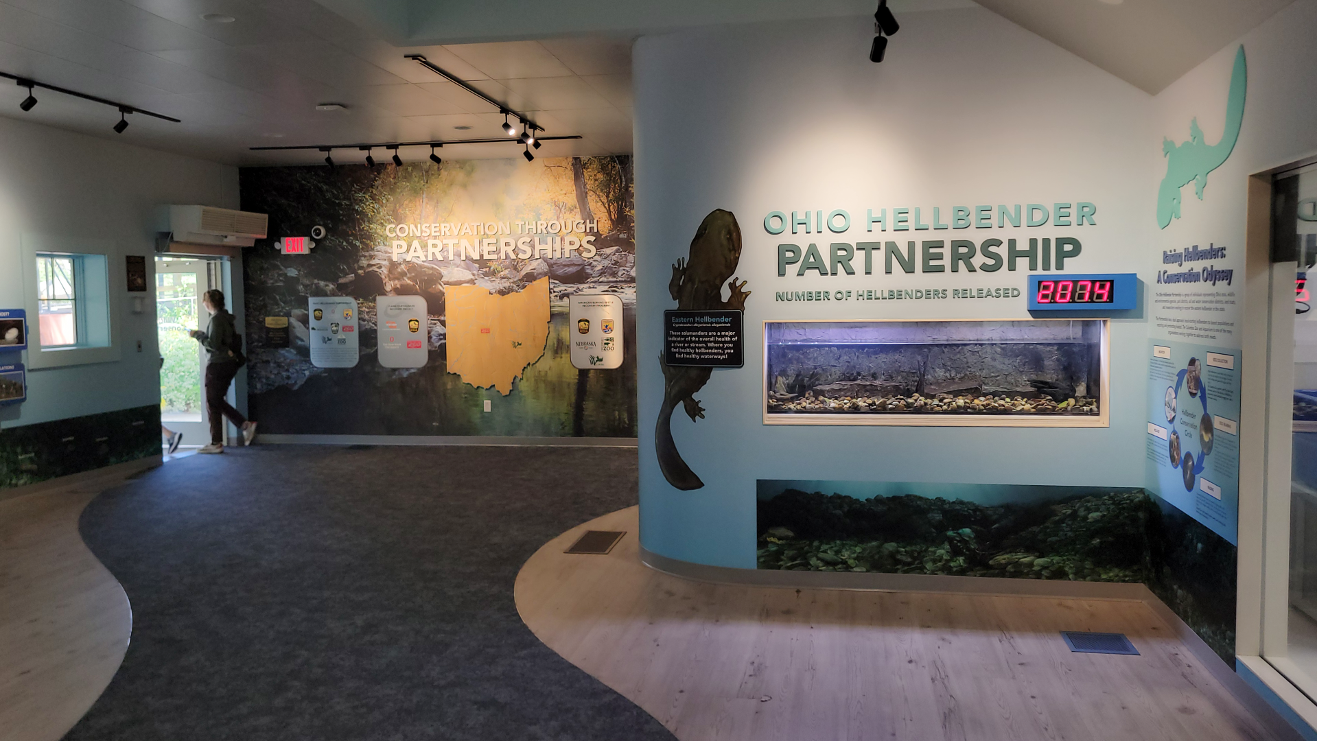 Sep. 2025 - NEW! - North America Trek - Habitat Hollow - Hellbender Exhibit