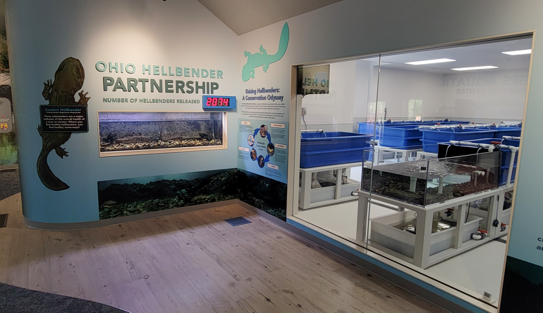 Sep. 2025 - NEW! - North America Trek - Habitat Hollow - Hellbender Exhibit