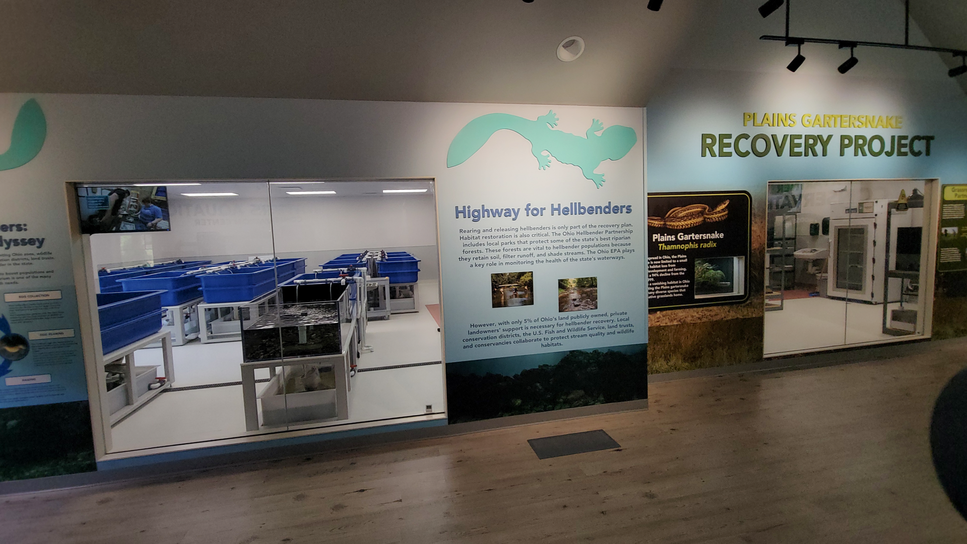 Sep. 2025 - NEW! - North America Trek - Habitat Hollow - Hellbender & Garter Snake Exhibits