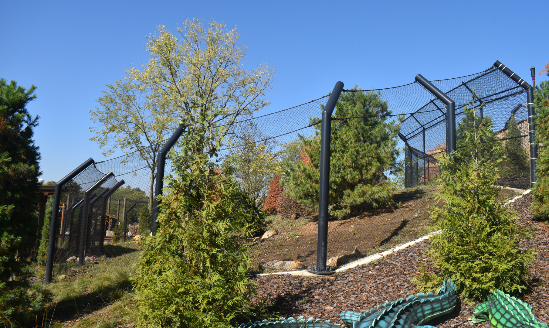 Sep. 2025 - NEW! - North America Trek - Mexican Wolf Exhibit