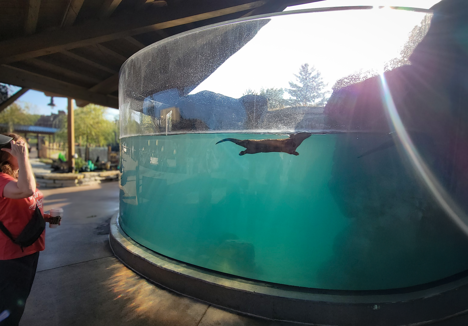 Sep. 2025 - NEW! - North America Trek - River Otter Exhibit