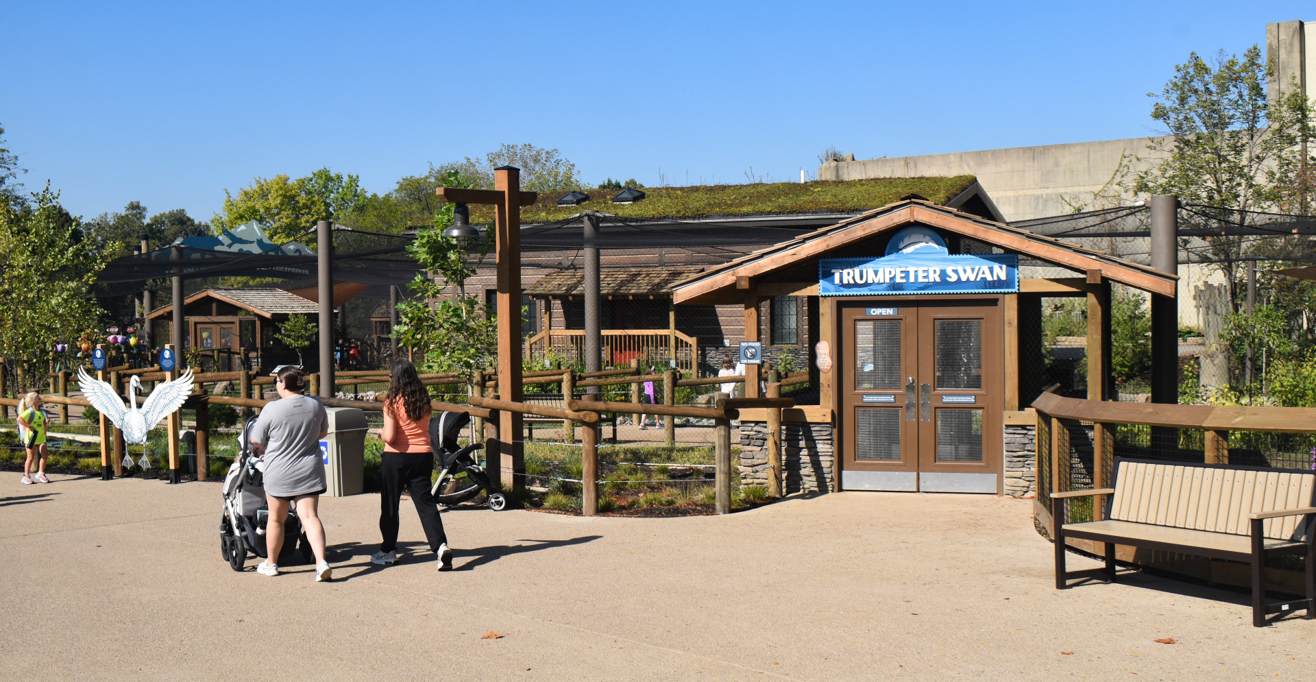 Sep. 2025 - NEW! - North America Trek - Trumpeter Swan Exhibit