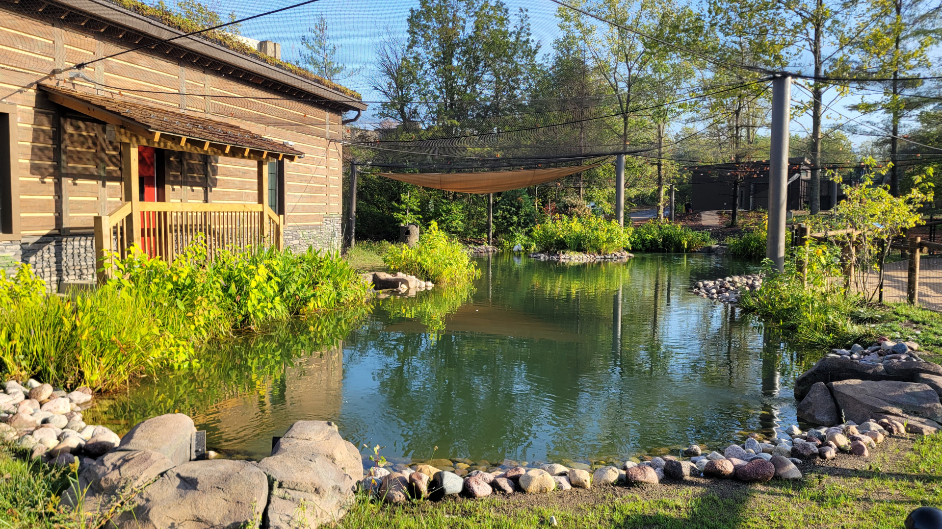 Sep. 2025 - NEW! - North America Trek - Trumpeter Swan Exhibit