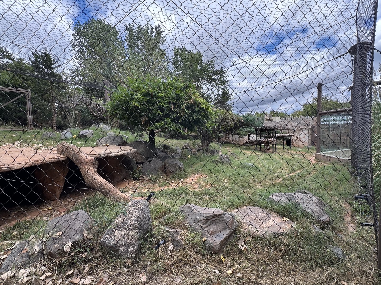 Sep. 2025 - Oklahoma Trails - Cougar Enclosure