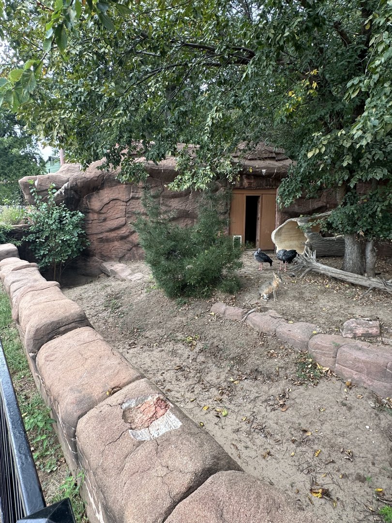 Sep. 2025 - “Old Grottoes” - Mixed Exhibit