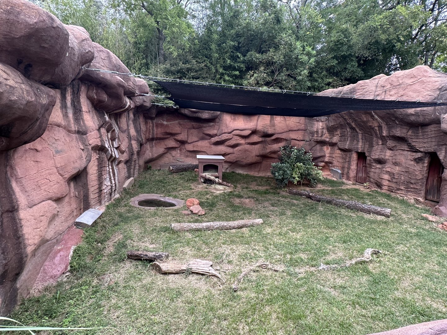 Sep. 2025 - “Old Grottoes” - Tanuki Enclosure