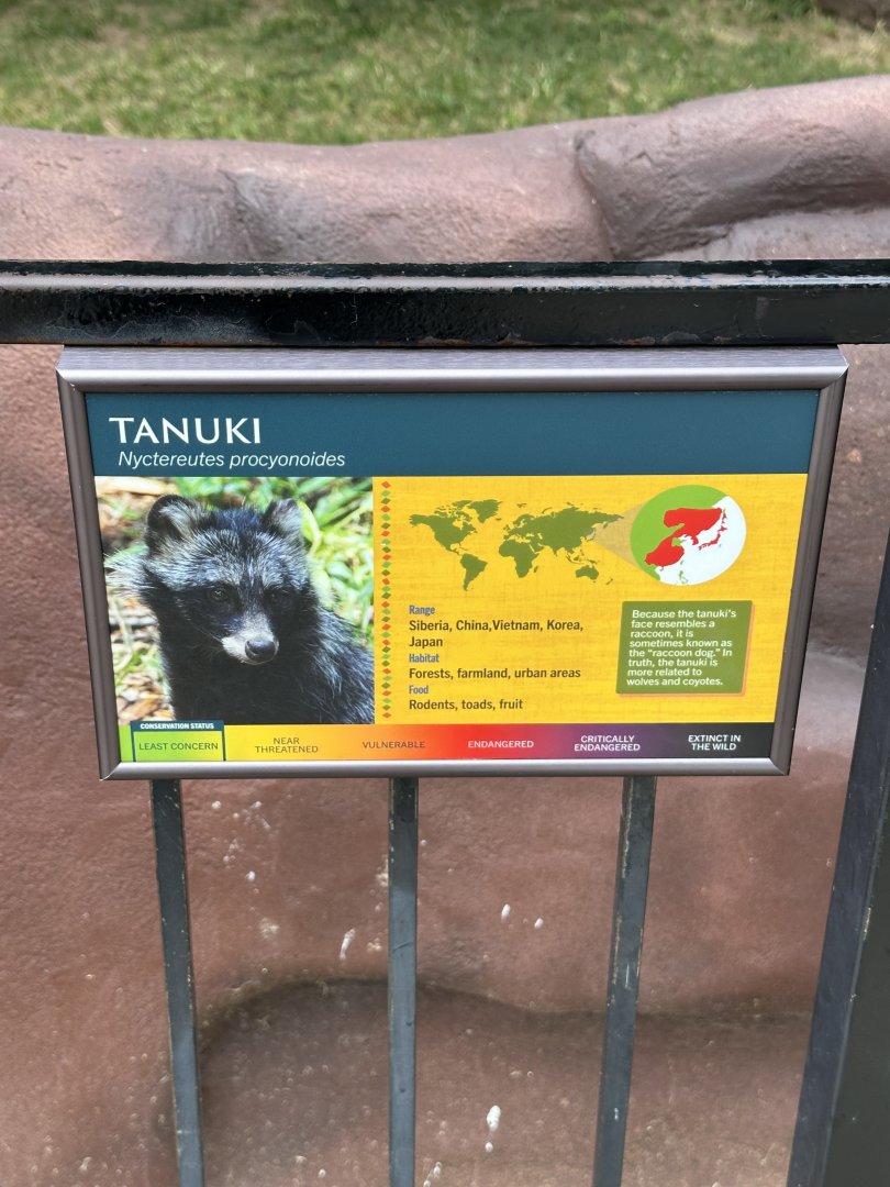 Sep. 2025 - “Old Grottoes” - Tanuki Signage