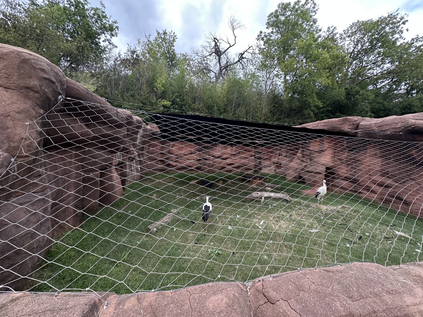 Sep. 2025 - “Old Grottoes” - White Stork Enclosure