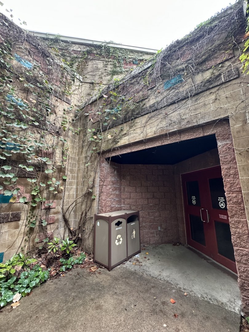 Sep. 2025 - Rainforest - Entry Doors