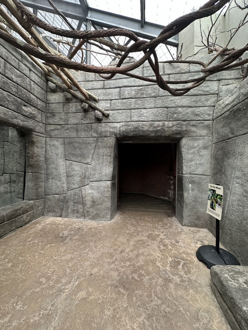 Sep. 2025 - Rainforest - Howler Viewing Area