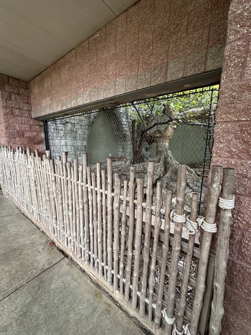 Sep. 2025 - Rainforest - Jaguar Barriers