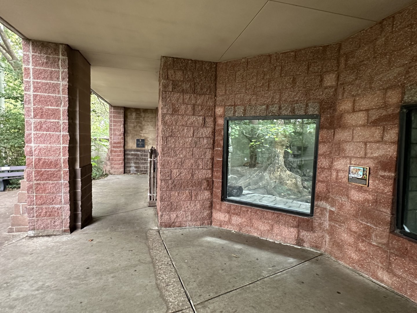 Sep. 2025 - Rainforest - Jaguar Viewing Area (outdoor)