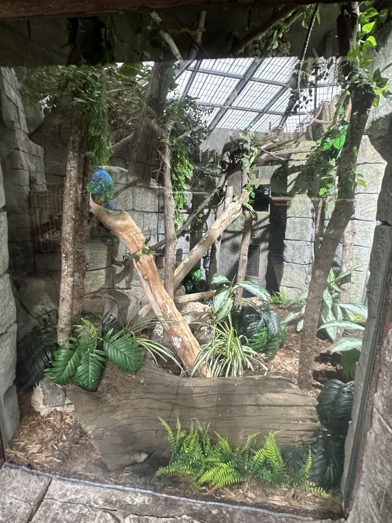 Sep. 2025 - Rainforest - Rat Snake Enclosure