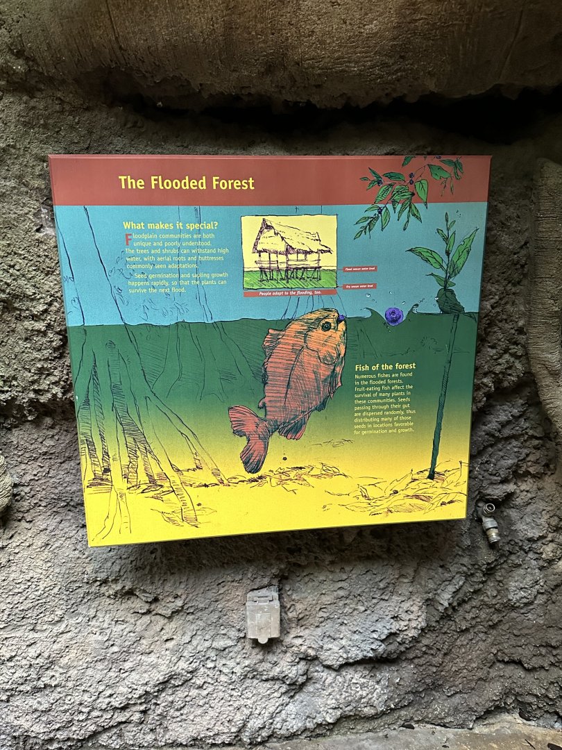 Sep. 2025 - Rainforest - Typical Signage