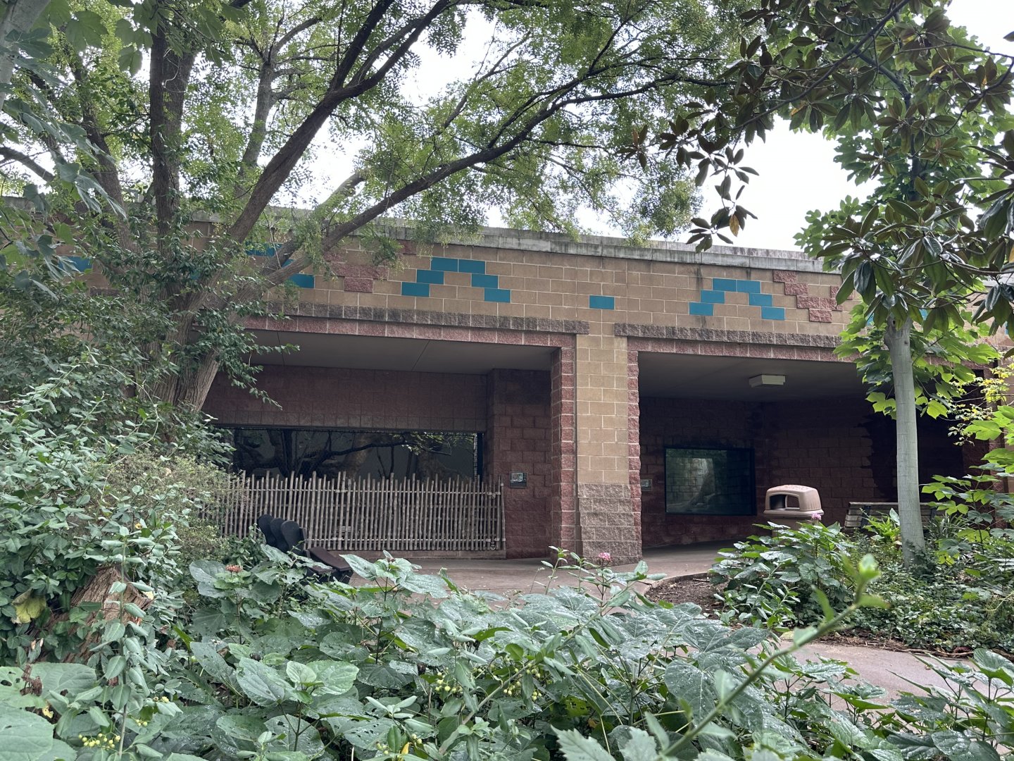 Sep. 2025 - Rainforest - View from the Jaguars