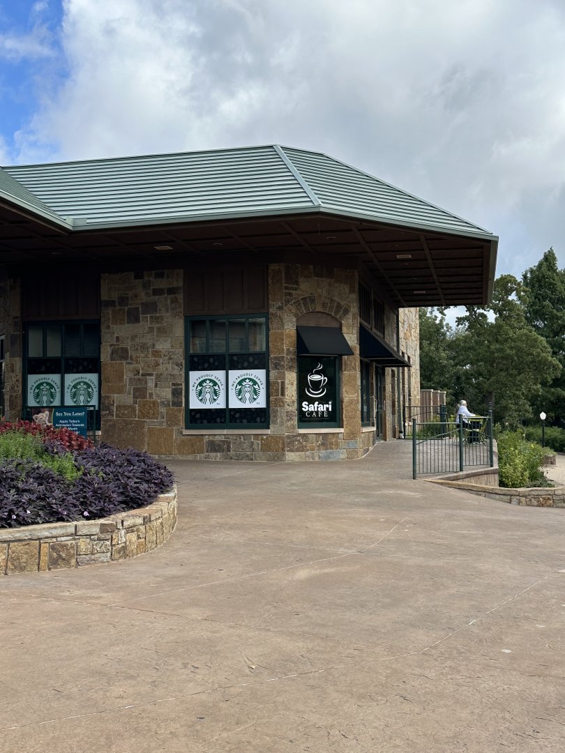 Sep. 2025 - Safari Cafe (coffee shop)