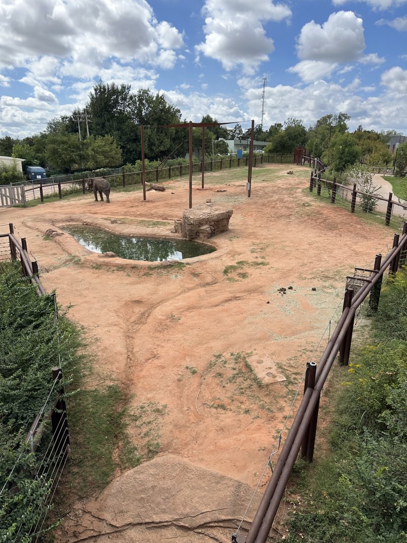 Sep. 2025 - Sanctuary Asia - Bull Elephant Enclosure