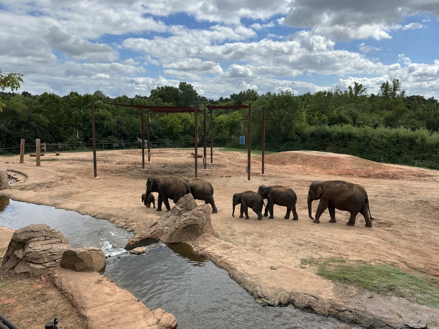 Sep. 2025 - Sanctuary Asia - Female Elephant Enclosure