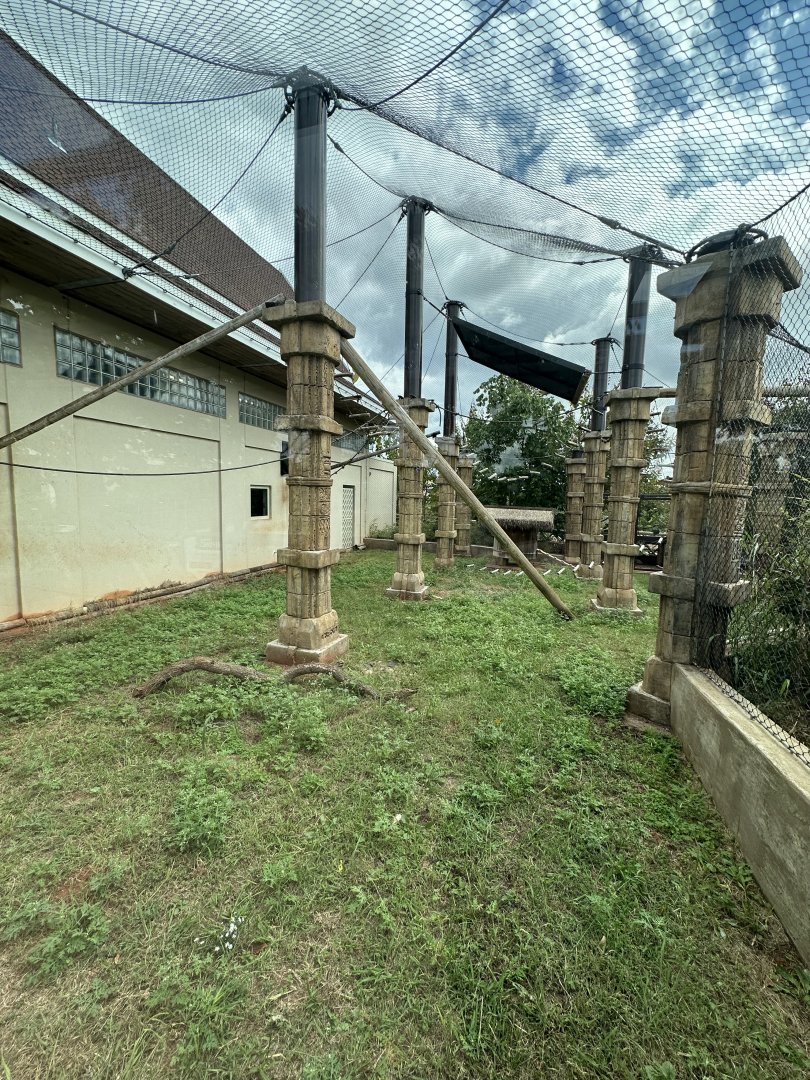Sep. 2025 - Sanctuary Asia - Francois’ Langur Enclosure