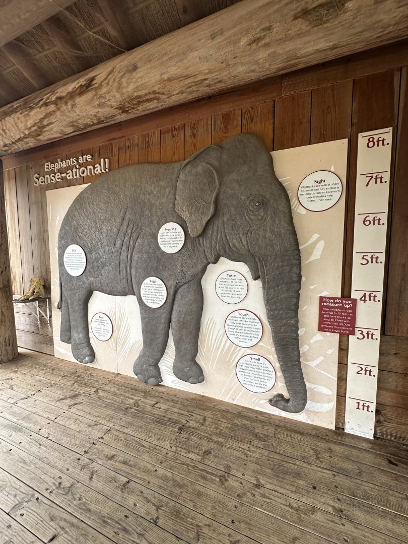 Sep. 2025 - Sanctuary Asia - Height Comparison