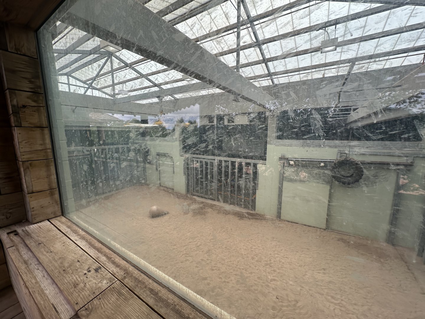 Sep. 2025 - Sanctuary Asia - Indoor Elephant Enclosure