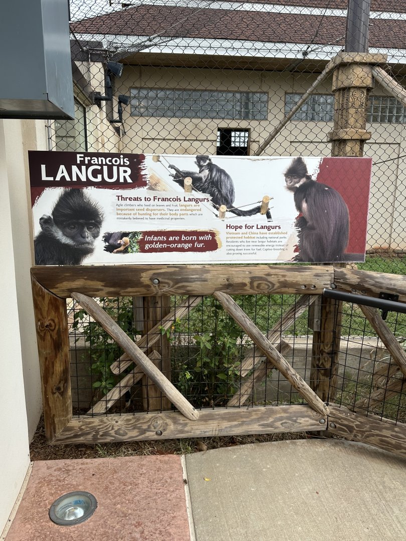 Sep. 2025 - Sanctuary Asia - Langur Signage