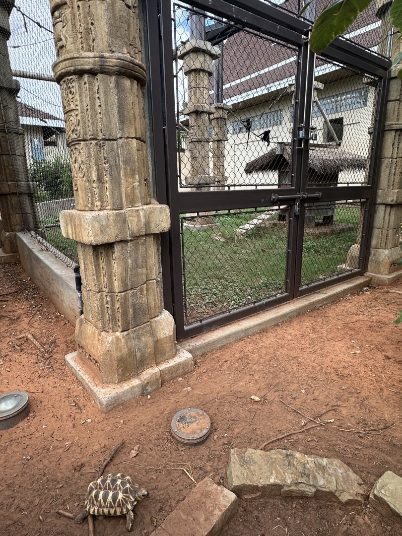 Sep. 2025 - Sanctuary Asia - Langur + Tortoise Enclosures